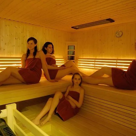 Skihuetten Lang Auf 1700 M In Hochkrimml, Zillertal Arena Apartment *