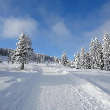 Skihuetten Lang Auf 1700 M In Hochkrimml, Zillertal Arena