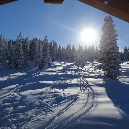 Skihuetten Lang Auf 1700 M In Hochkrimml, Zillertal Arena Apartment