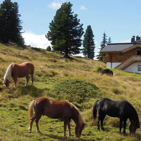 Skihuetten Lang Auf 1700 M In Hochkrimml, Zillertal Arena Apartament *