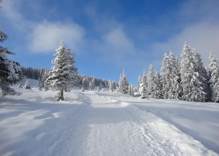 Skihuetten Lang Auf 1700 M In Hochkrimml, Zillertal Arena