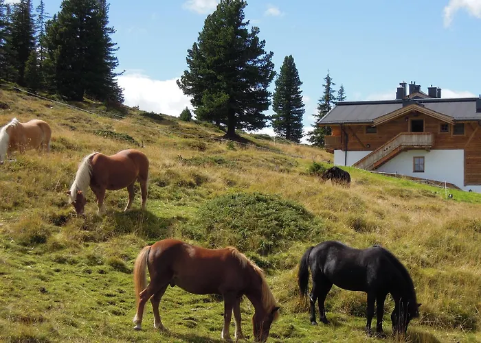 Skihuetten Lang Auf 1700 M In Hochkrimml, Zillertal Arena Daire *